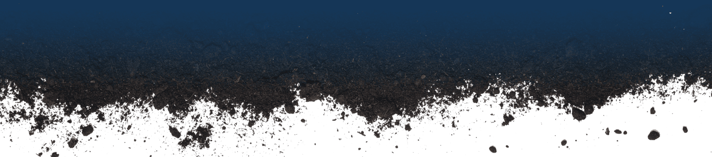 Nipindo Primatama Assets