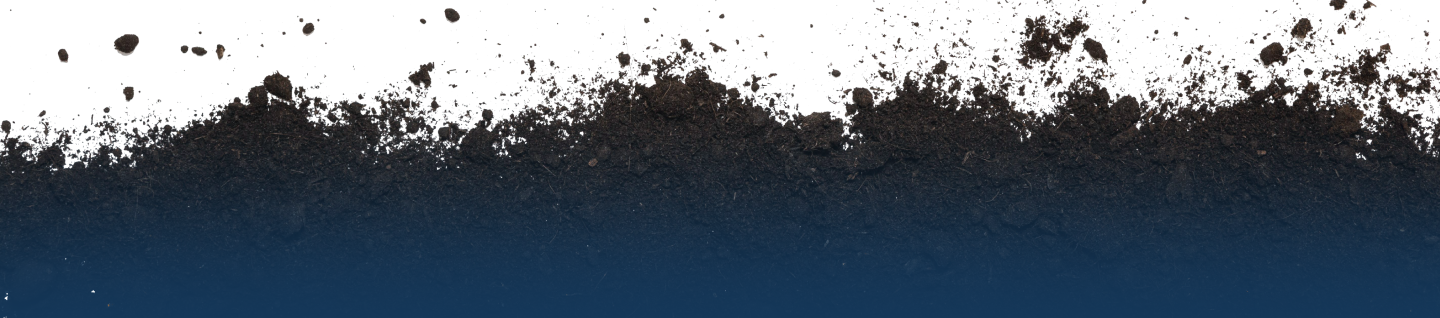 Nipindo Primatama Assets